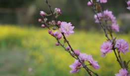 草草爱视频,揭秘现代都市情感生活的真实面貌